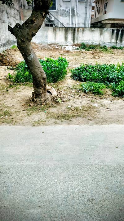 10 Marla Plot For Sale