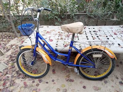 Imported Speed Bicycle (20 Inch Size)