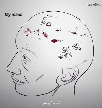 N. Series Physics's for urgent sale