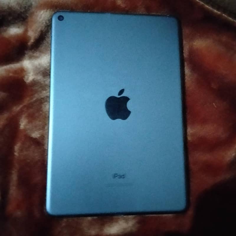 ipad mini 5 broken screen 2