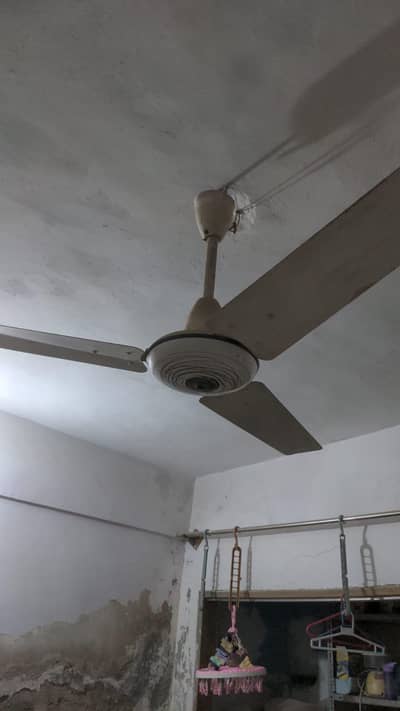 wall fan GFC