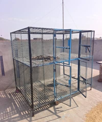 6 feet Length 6 feet Height 3 feet depth Double Cage For Sale