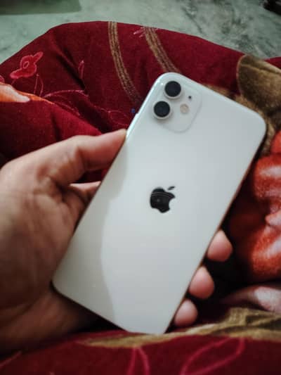 IPhone 11 -   256 GB