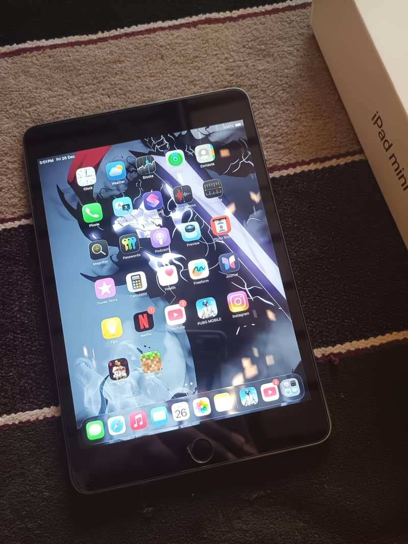 ipad mini 5 0