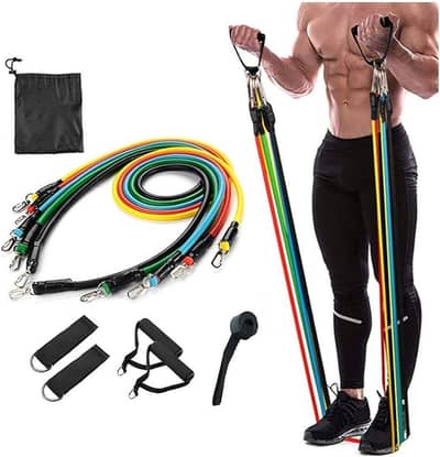Premium Resistance Bands Set with Handle and carry bag