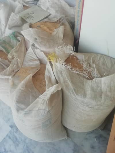 Wood ash (lakari ka bura) for spreading in birds floor 100 kg