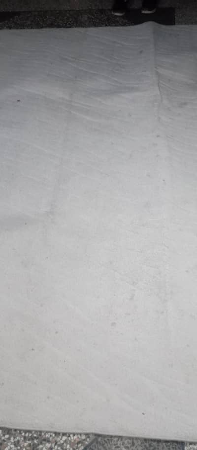 imported Large Size Soft off white carpet  ( Kaleen ) for Room