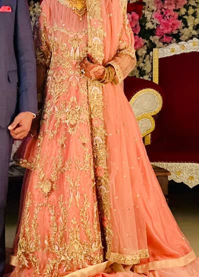 walima maxi