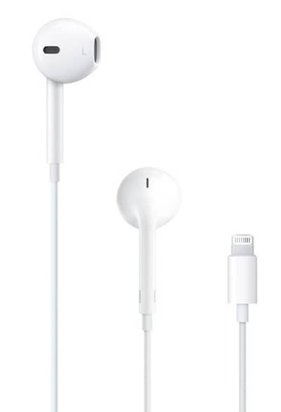 Apple Earphones
