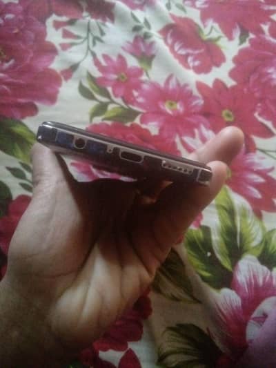 animal k sath exchange