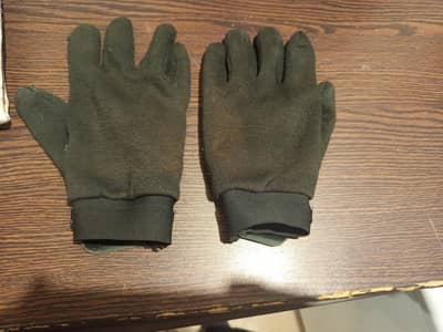 wicket keeping keeping pads , inners and gloves