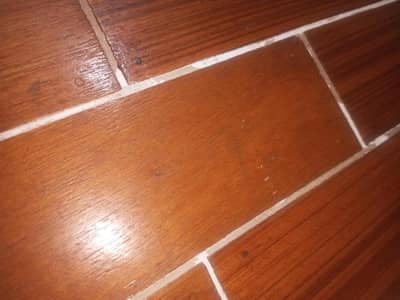 online tuition required for urdu subject