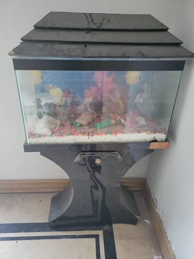 aquarium in reasonable prize