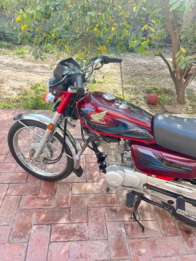 Honda cg 125 2024 model