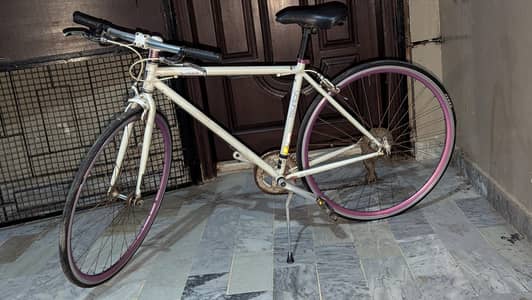 REUNION hybrid japanese cycle