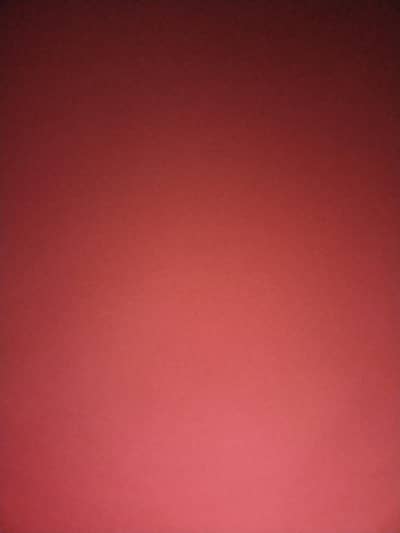 Assitant Accountant and audit