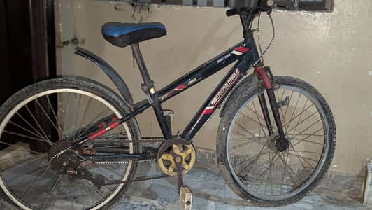 AMERICAN EAGLE Japanese cycle