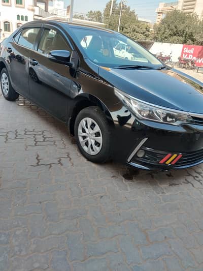 Gli 2018 exchange with alto cultus wegonr