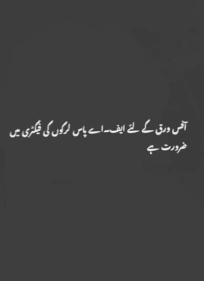 +92 300 6299453 contact