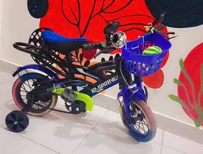 12 Springs Imported Kids Cycle