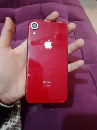 iPhone XR