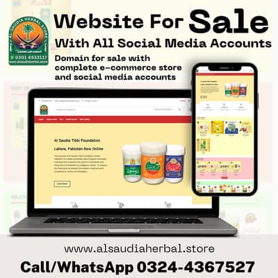 Established E-commerce Business for Sale