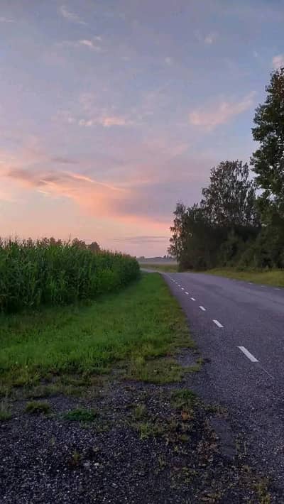 I need a job part time job