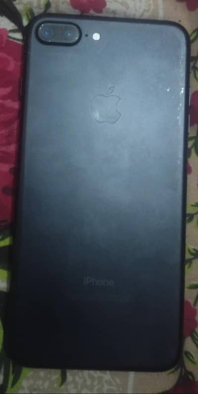 Only serious person contact me