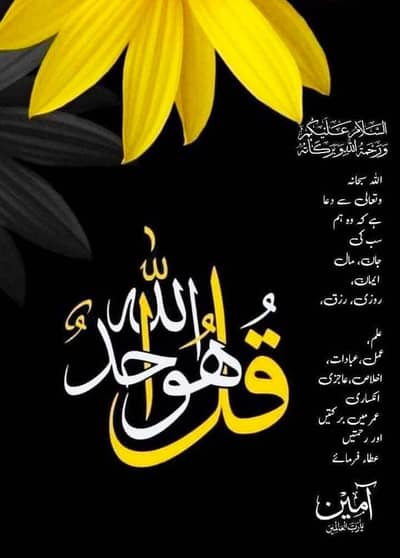 Need helper and technician