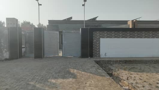 B pharmacist and Bs chemist Required