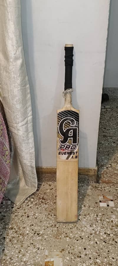 cricket bat