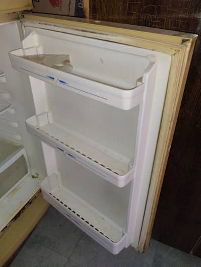 bhtren chlti ha contact 03234274267