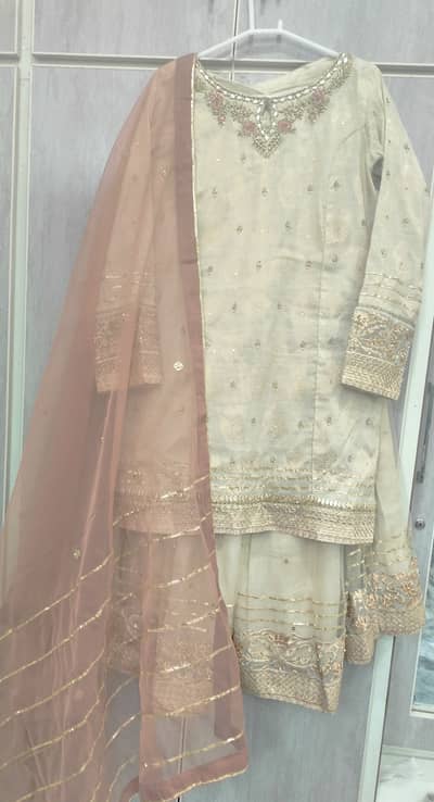 Party wear luxury grara set by batik studio