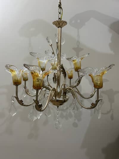 Golden Fanoos/Chandelier