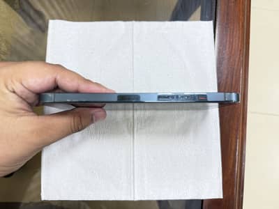 iphone 12 pro max 256gb