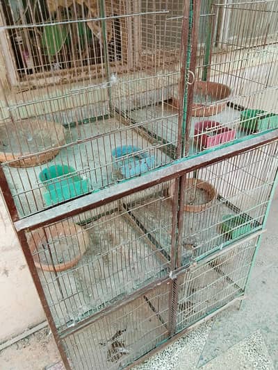 8 PORTION CAGE 10/10 CONDITION