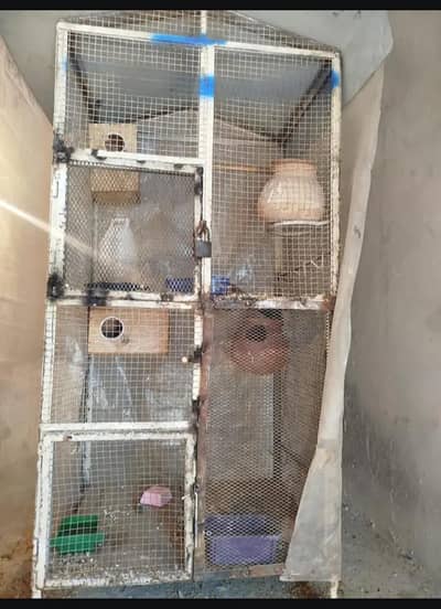 5 fit lamba 2.5fit chorai