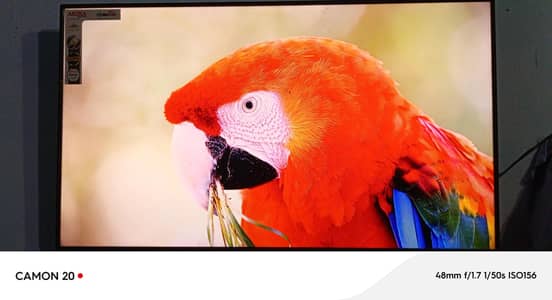 Akira 50" Android semart led tv