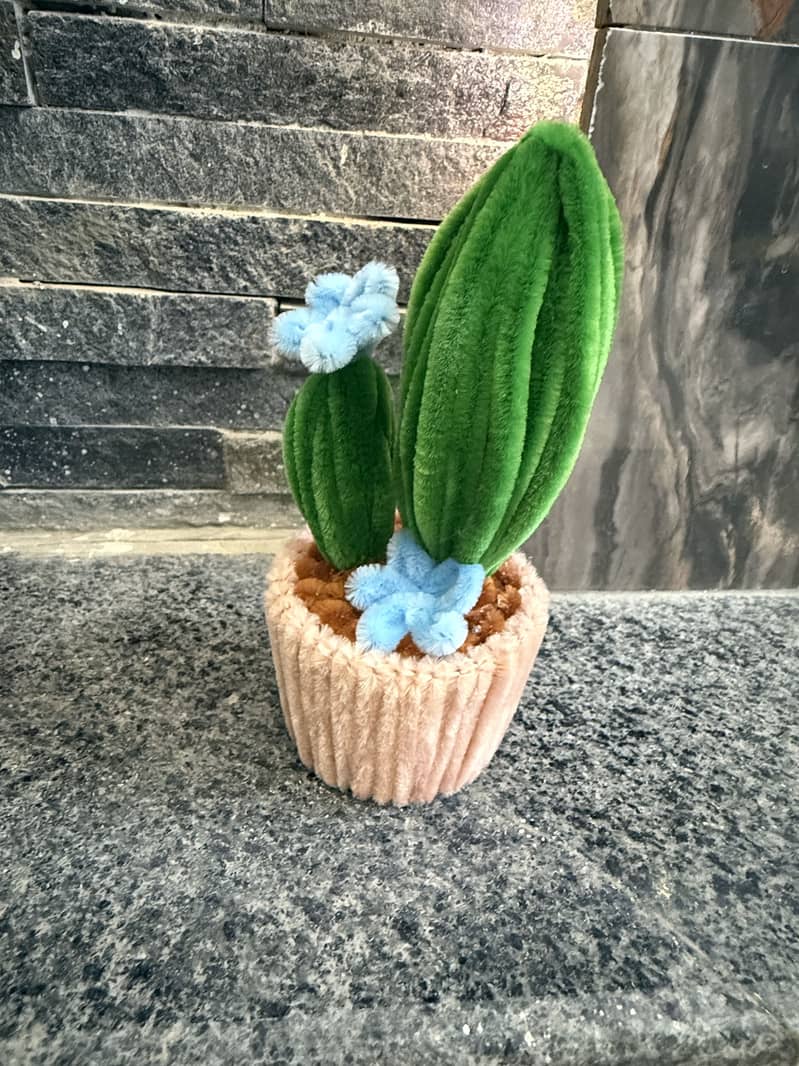 Flower variations 15