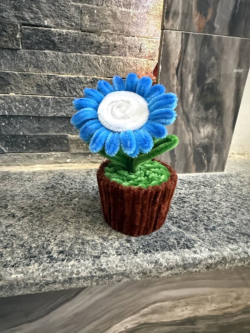 Flower variations 19