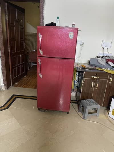 Singer Full size refrigerator in excellent condition just 1 year used