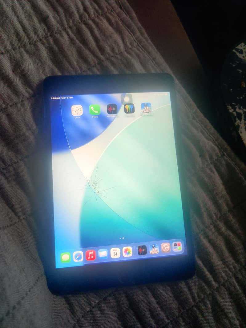 Ipad mini 5 read discription 7