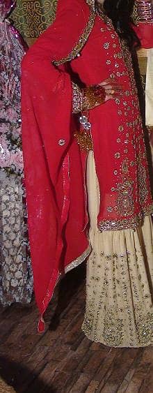 red shirt golden shrara