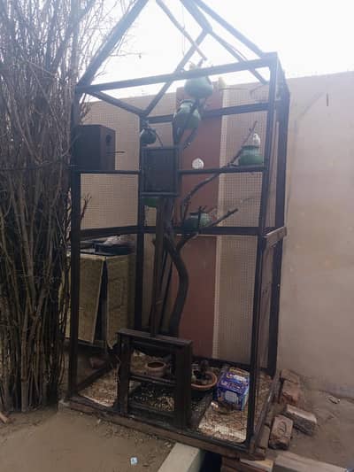 Birds wood huge cage