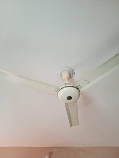 ایک چھت والا پنکھاء براہے وخت