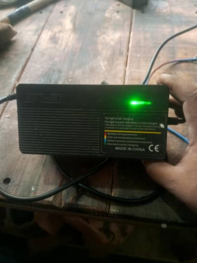 Electric bike charger