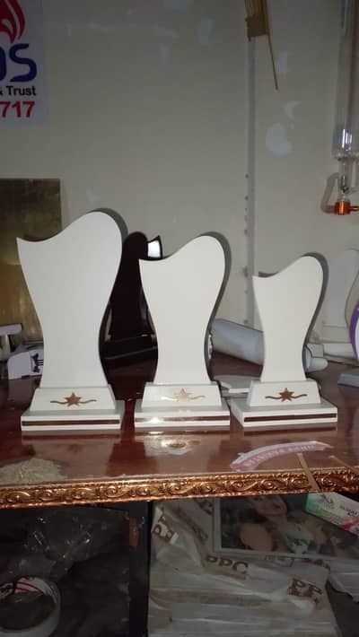 plastic shield award