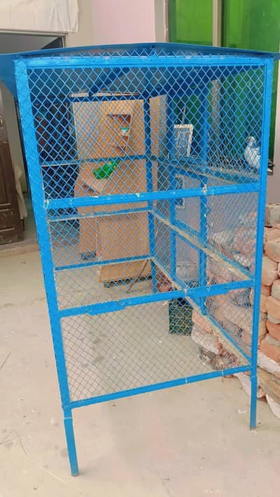 Murgiyon ka Pinjara ( Chicken Cage )