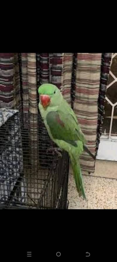 Hand tain hai frandlly be