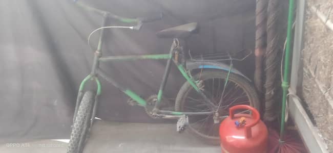 JIS ny Lyne h rabta kary serious buyer